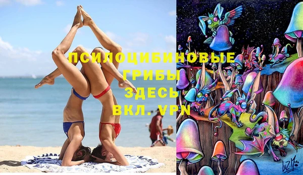 ПСИЛОЦИБИНОВЫЕ ГРИБЫ Лиски
