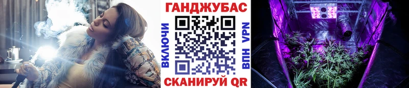 Бошки Шишки план Плавск